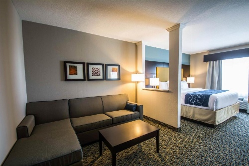 Comfort Suites Fort Lauderdale Airport South & Cruise Port image 19